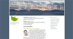 Desktop Screenshot of anthonyeffinger.com